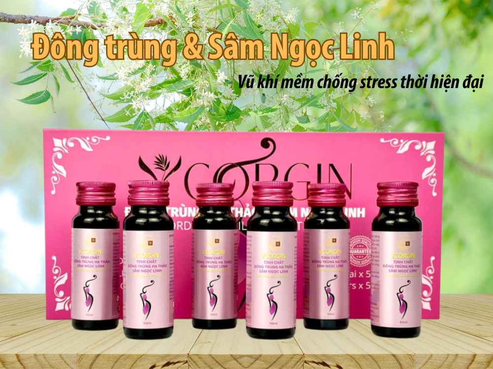 dong_trung_sam_ngoc_linh_ANestLand