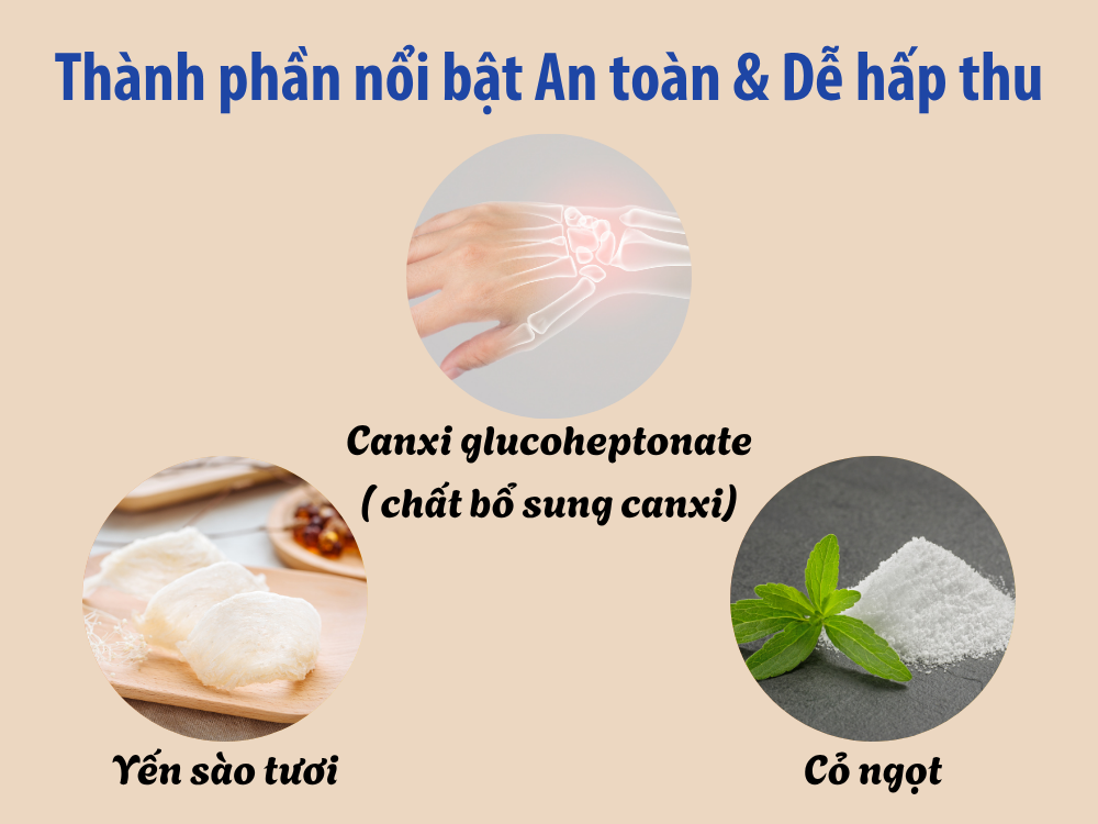 Thanh_phan_noi_bat_an_toan_de_su_dung_ANestLand