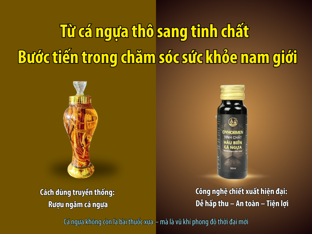 ca_ngua_bi_an_dai_duong_cho_phong_do_benh_vung_3