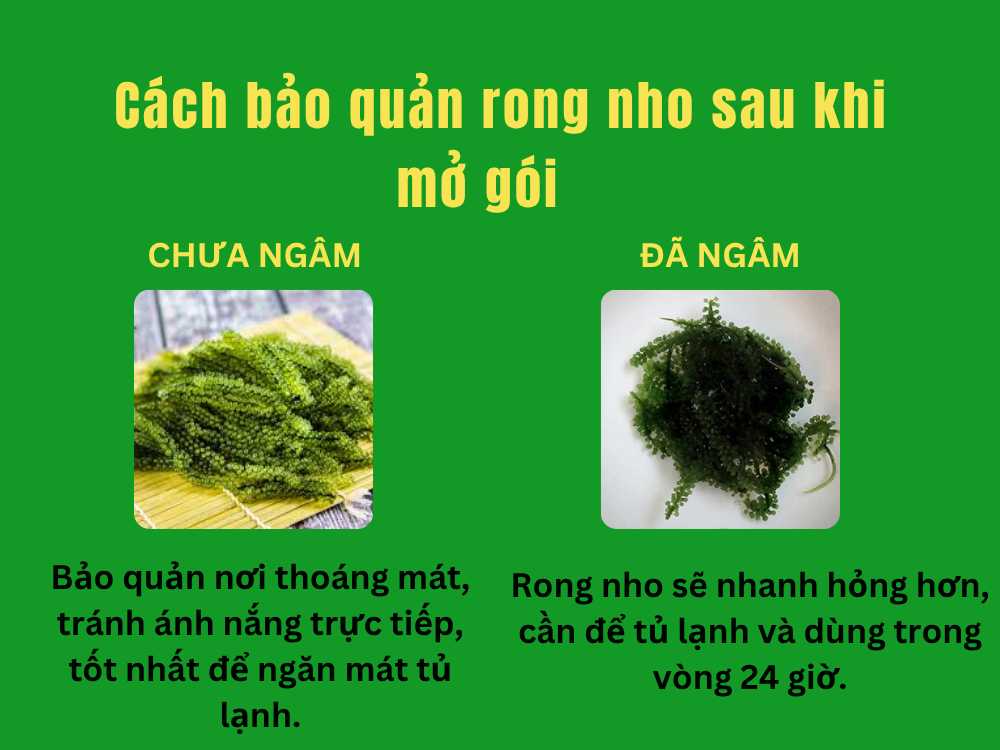 cach-bảo-quan-rong-nho-sau-khi-mo-goi