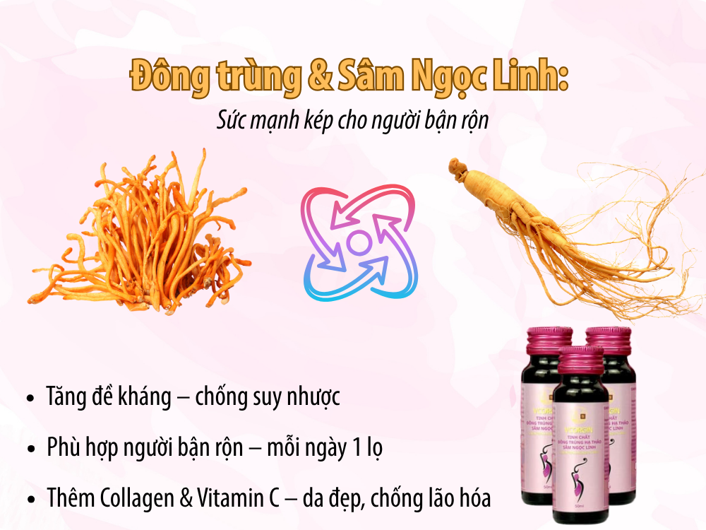 dam_trung_va_sam_ngoc_linh_ANestLand