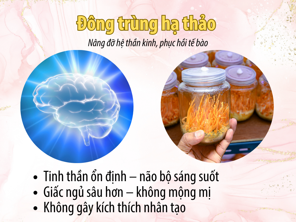 Dong_trung_ha_thao_nang_luong_tu_ben_trong_ANestLand