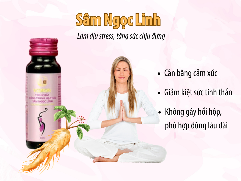 sam_ngoc_linh_lam_diu_stress_tang_suc_chiu_dung_ANestLand