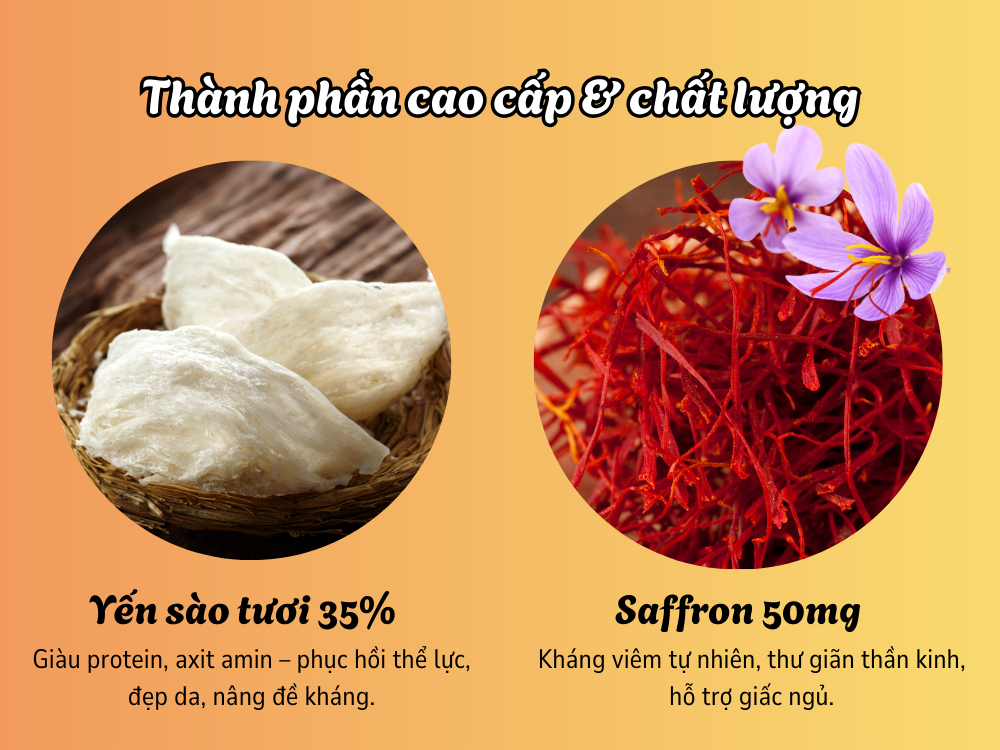 Thanh_ơhan_cao_cap_chât_luong_ANestLand