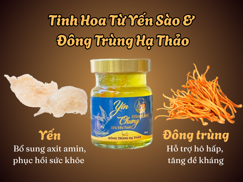 tinh_hoa_tu_yen_sao_và_dong_trung_ha_thao_ANestLand