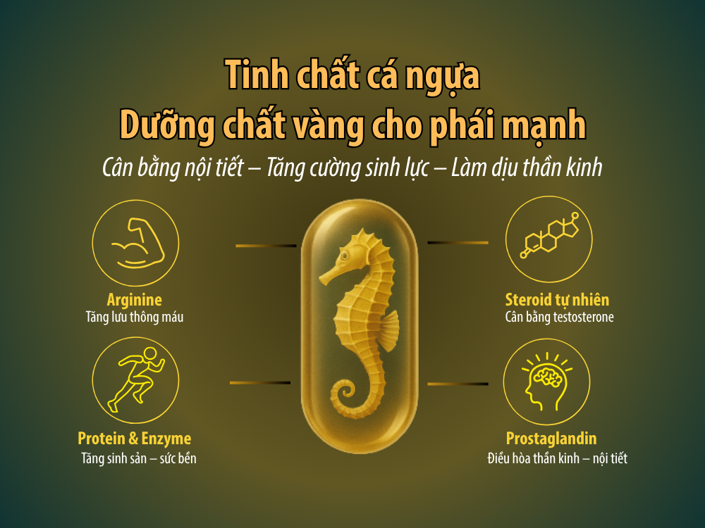 ca_ngua_bi_an_dai_duong_cho_phong_do_benh_vung_2